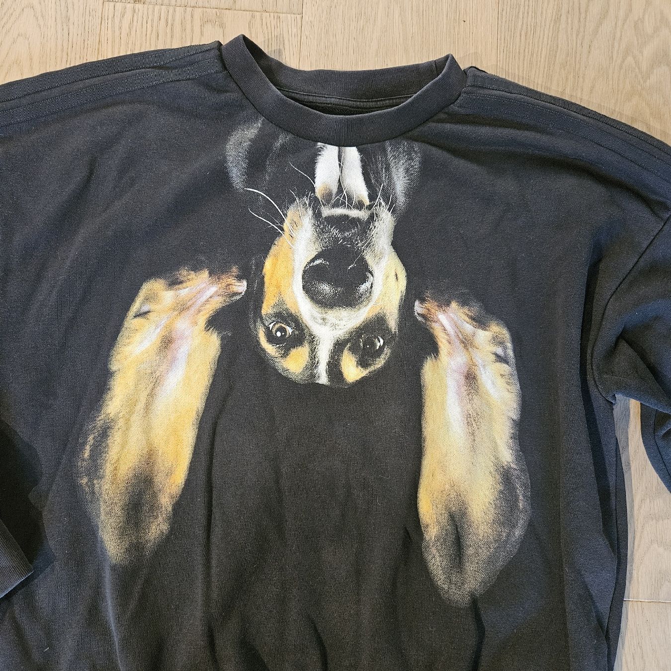 Adidas Pullover & Sweatshirts: Adidas, Rita Ora Pullover – Gebraucht aus Rüschlikon von niwa 1