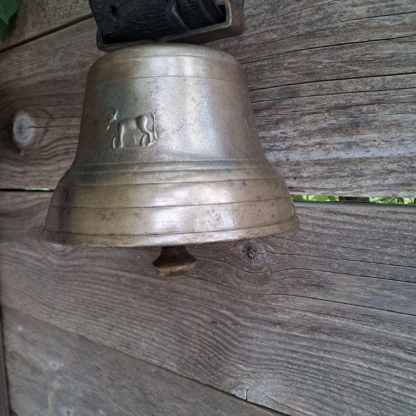 Campanacci mucche: ALTE/ANTIKE BIAGGI GLOCKE  – Usato da Murten venduto da SHETHOF 4