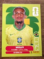 Panini WM 2026 - BRA 8 Sticker 🇧🇷