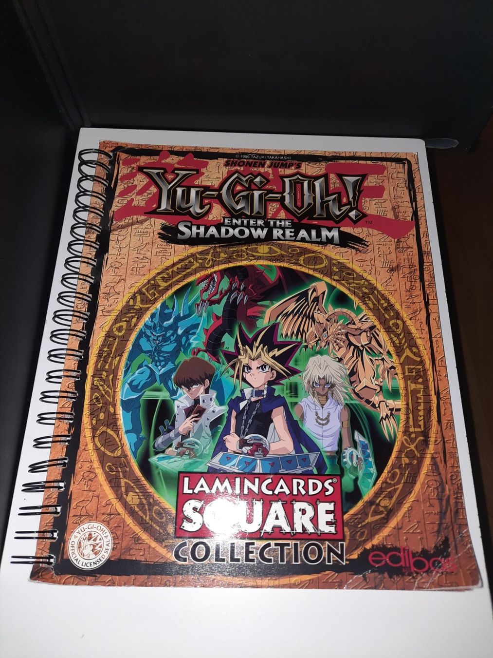 Album: Album Yu-Gi-Oh! +44 card – Usato da Biasca venduto da Old_6blh
