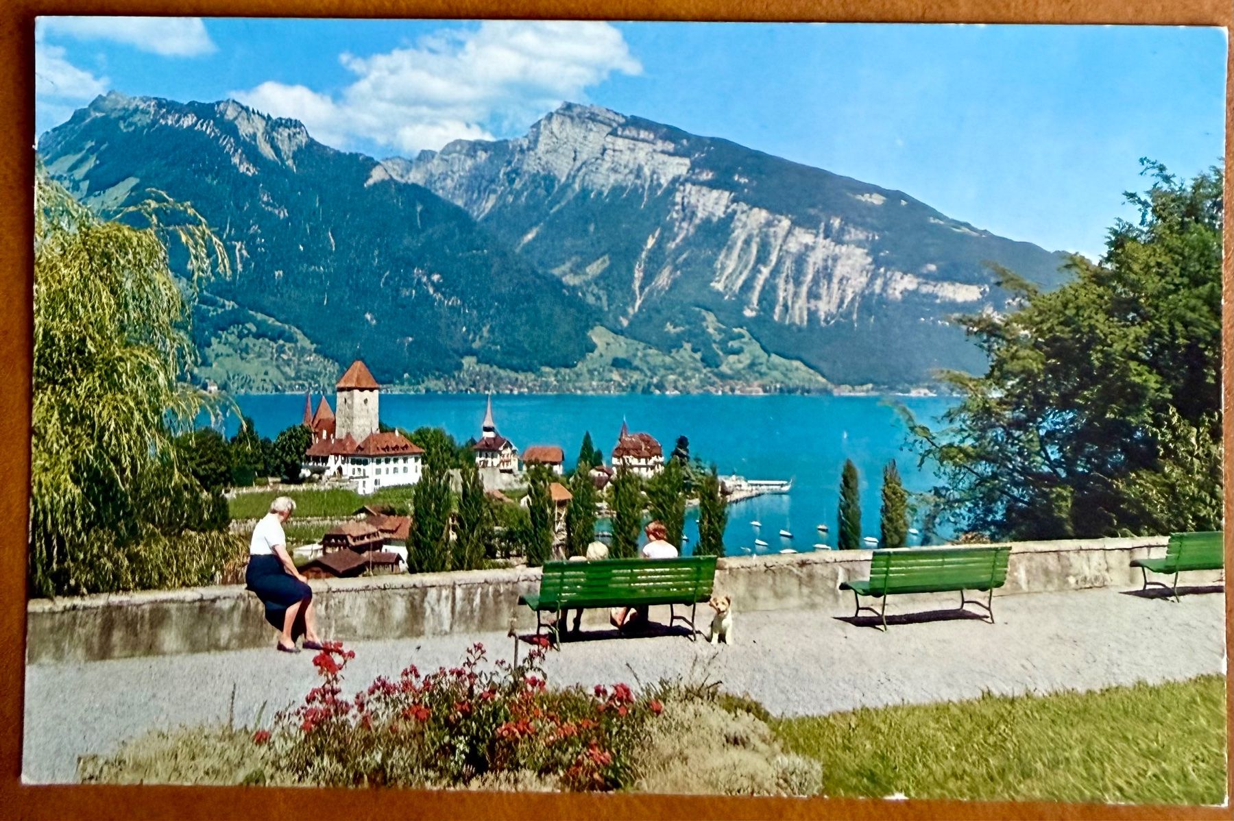 Cartoline postali: Spiez - Color - Animée - AK – Usato da Lutry venduto da Ediego