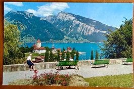 Spiez - Color - Animée - AK