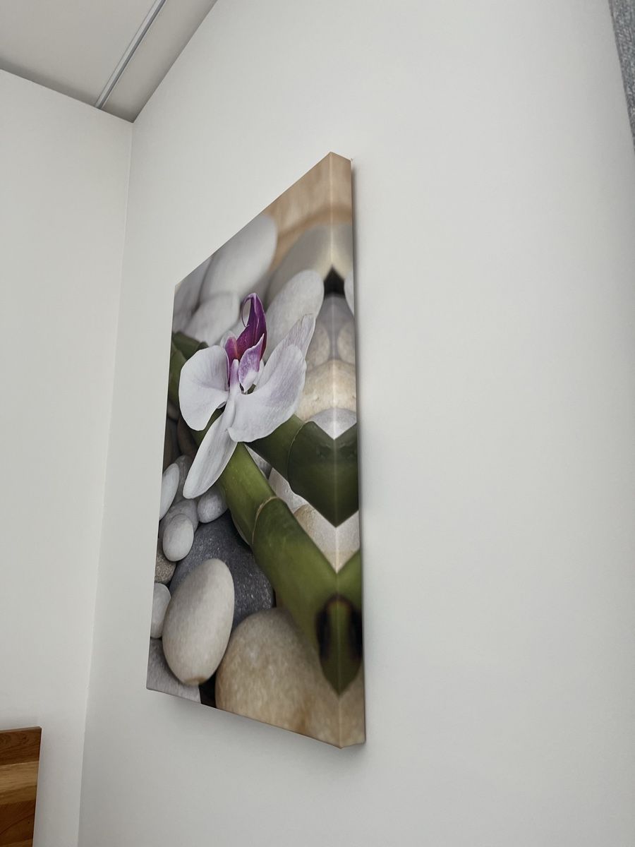 Foto & Immagini: Leinwand Foto Bild Orchidee – Nuovo (secondo la descrizione) da Rotkreuz venduto da rinchee 1