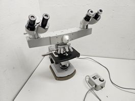 Carl Zeiss Binokular Mikroskop with discussion bridge