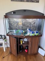Juwel Aquarium Vision 260 LED