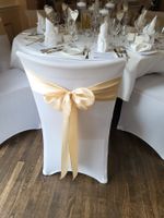 50 Stuhlschleifen Satin Champagne