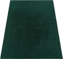 ANGEBOT ❌ 300x400 cm Teppich Super Soft WALDGRÜN