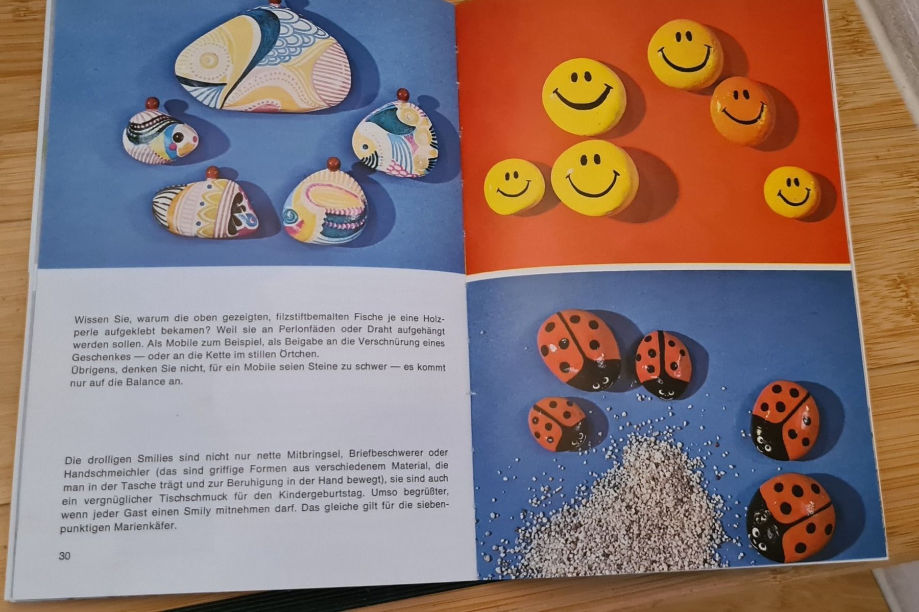Libri: Bastelbuch, Steine geklebt und bemalt – Usato da Winkel venduto da Tongabonga 3