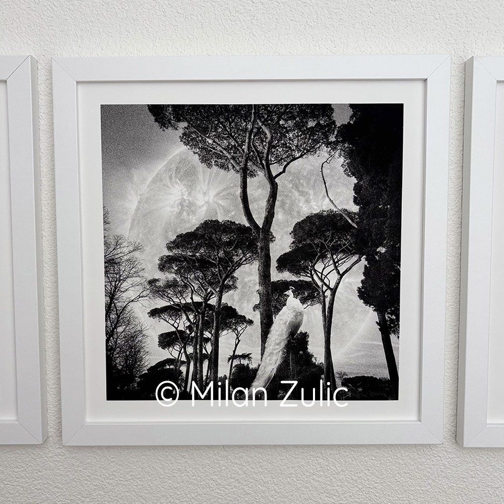 Foto & Immagini: Travel postcards 0044 – Nuovo (secondo la descrizione) da Uetikon am See venduto da mil_7k2b