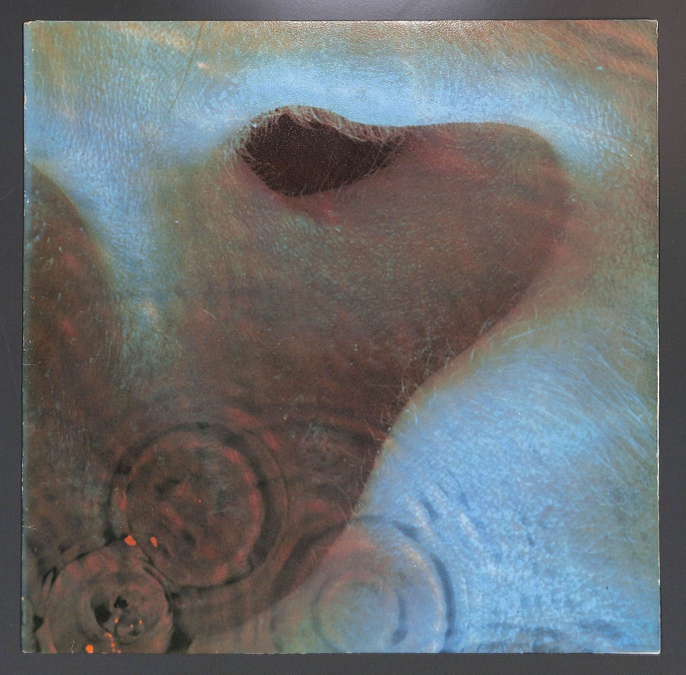 Dischi in vinile: PINK FLOYD - MEDDLE – Nuovo (secondo la descrizione) da Zürich venduto da Nobs1