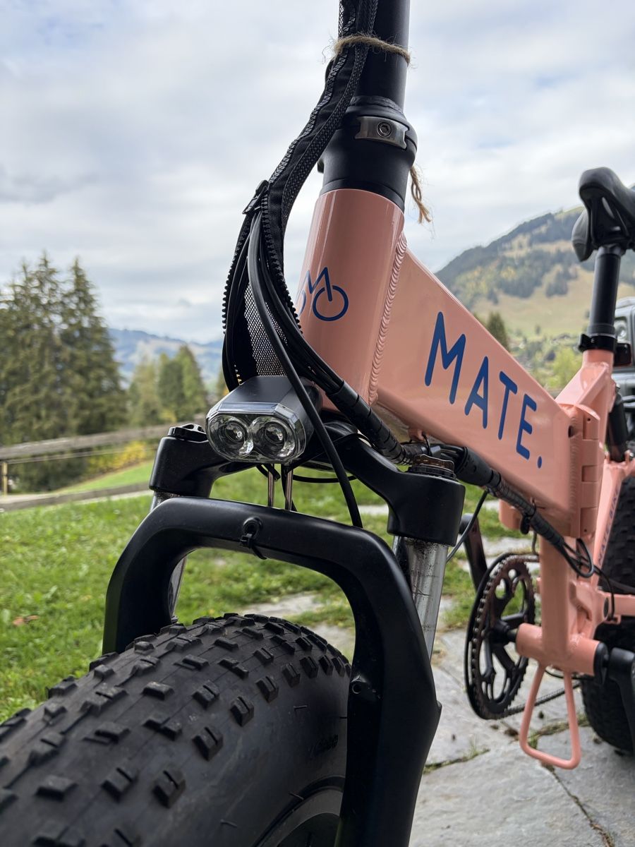 Velos: Mate X 750W Candy Crushed – Neu (gemäss Beschreibung) aus Rougemont von Fossati07 6