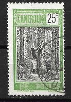 Kamerun 1925: Kautschukernte