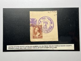 USA 1884, #210, top rares Sammlerstück!