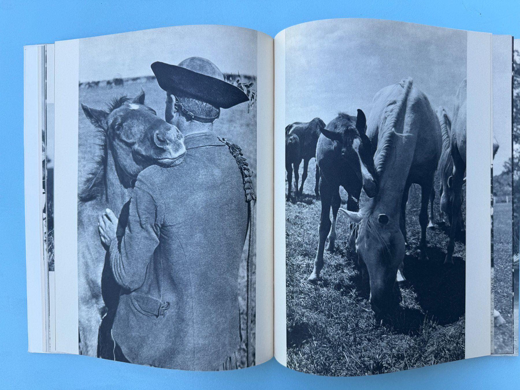 Bücher: Les Chevaux de la Puszta  -  E. A. Heiniger – Gebraucht aus Basel von Kornblumen 6