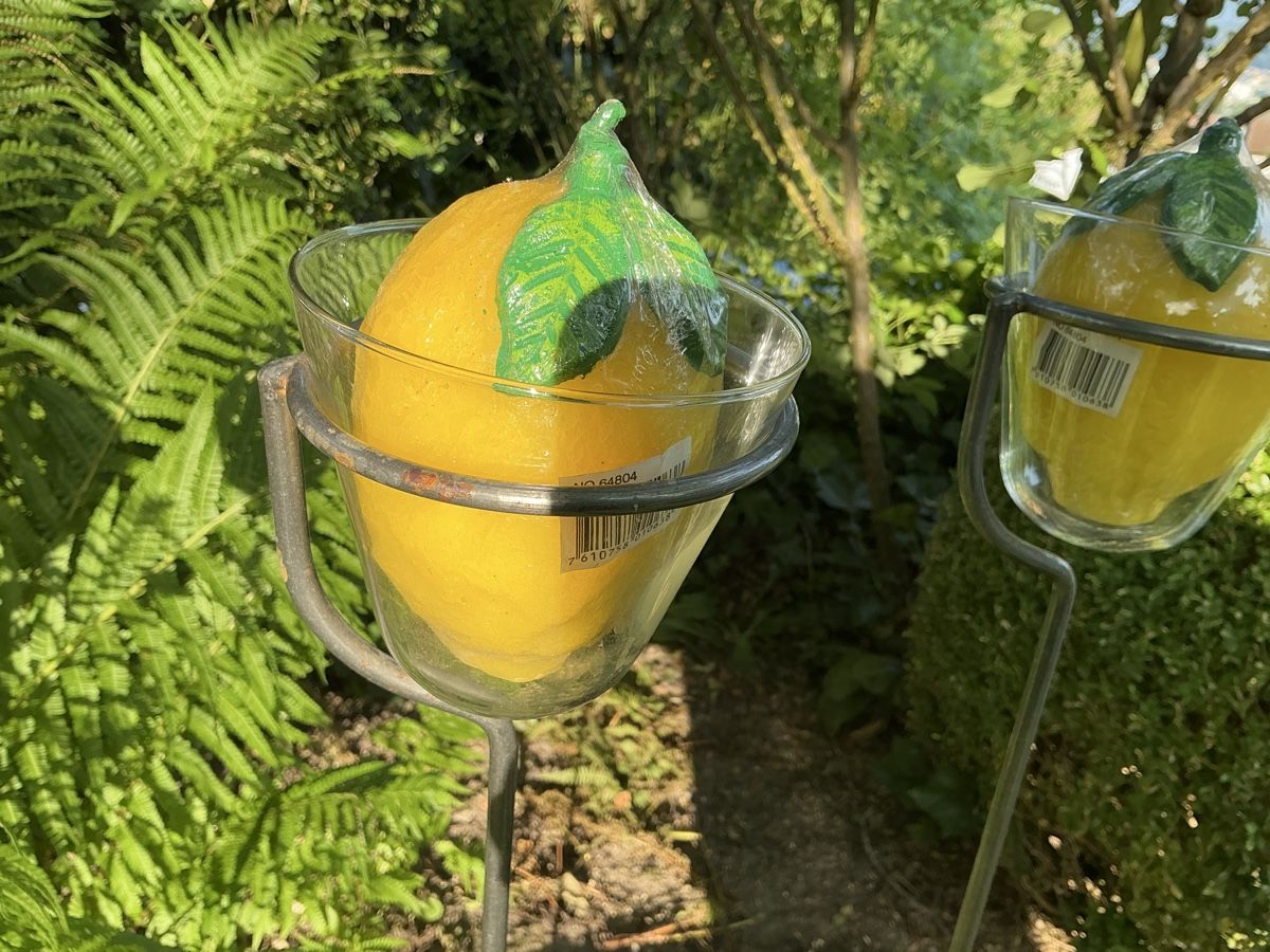 Portacandele: 10 Windlichter mit massivem Eisengestell für Gartenparty – Nuovo (secondo la descrizione) da Schönenwerd venduto da simca04 4