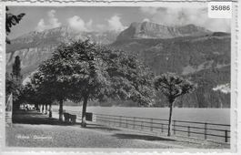 Brienz - Quaipartie
