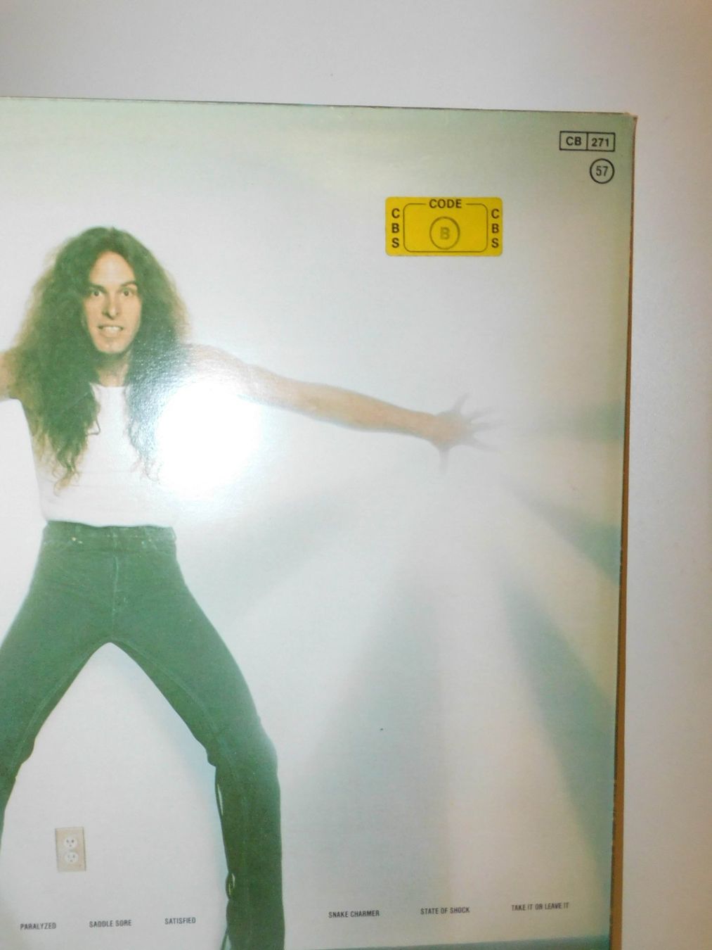 Dischi in vinile: Lp - Ted Nugent - 1979 Schallplatte  State – Usato da Sursee venduto da 76 4