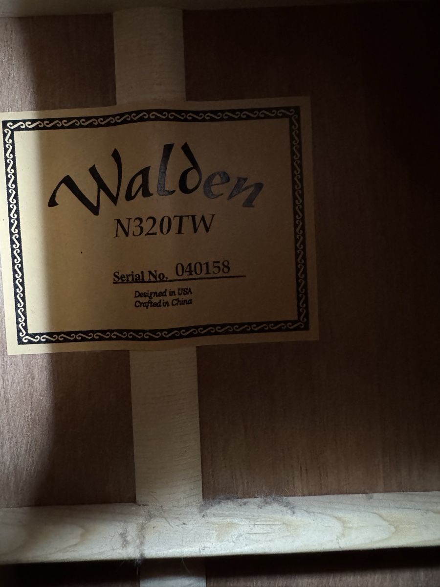 Strumenti musicali: Gitarre Walden 320 TW – Usato da Brienz BE venduto da soto718 1