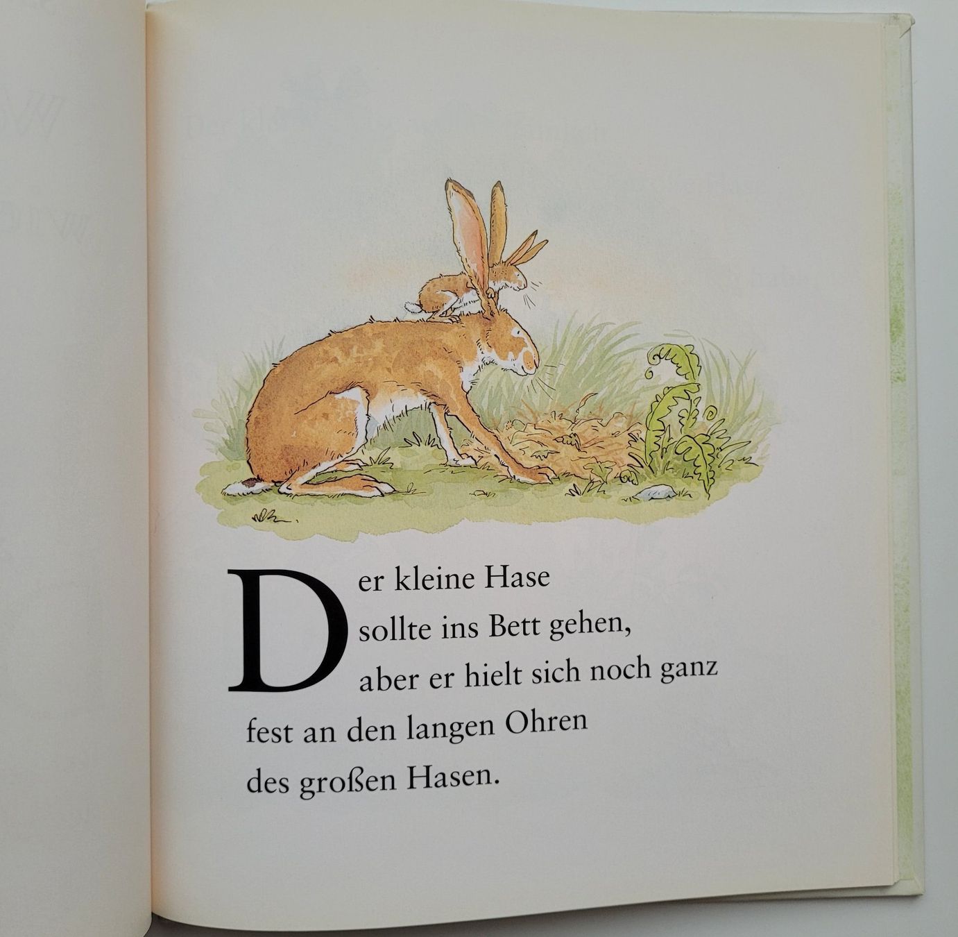 Libri: Weisst du eigentlich, wie lieb ich dich hab? – Usato da Würenlos venduto da Felisha 1