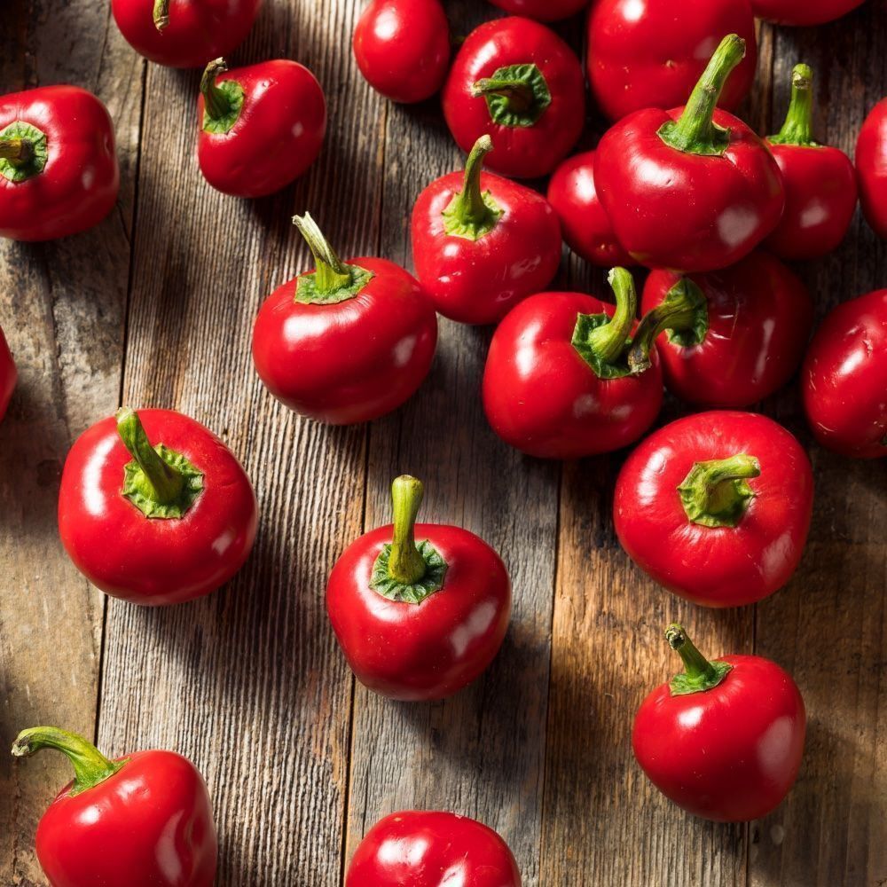 Piante & sementi: 100 Cherry Chili Kirchchili Samen – Nuovo (secondo la descrizione) da Ehrendingen venduto da VerveinaSamen 6