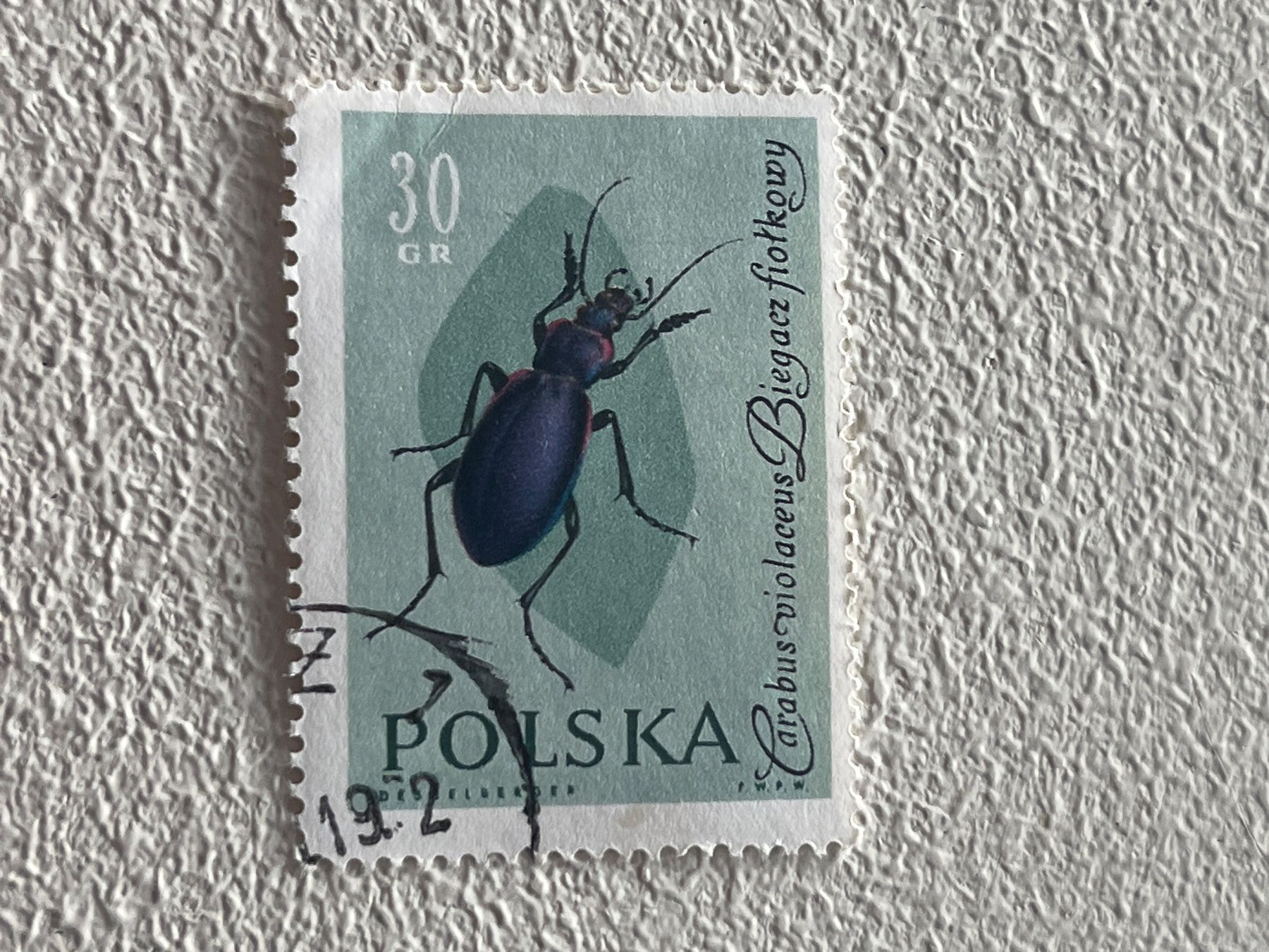 Tutti i francobolli: Polen Briefmarke – Usato da Chiasso venduto da AzenYa