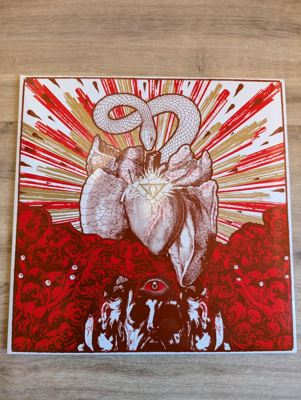 Dischi in vinile: Ascension - Consolamentum LP – Usato da Meikirch venduto da drgore