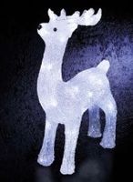 AKTION Weihnachtsbeleuchtung stehendes Rentier mit 40 LEDs