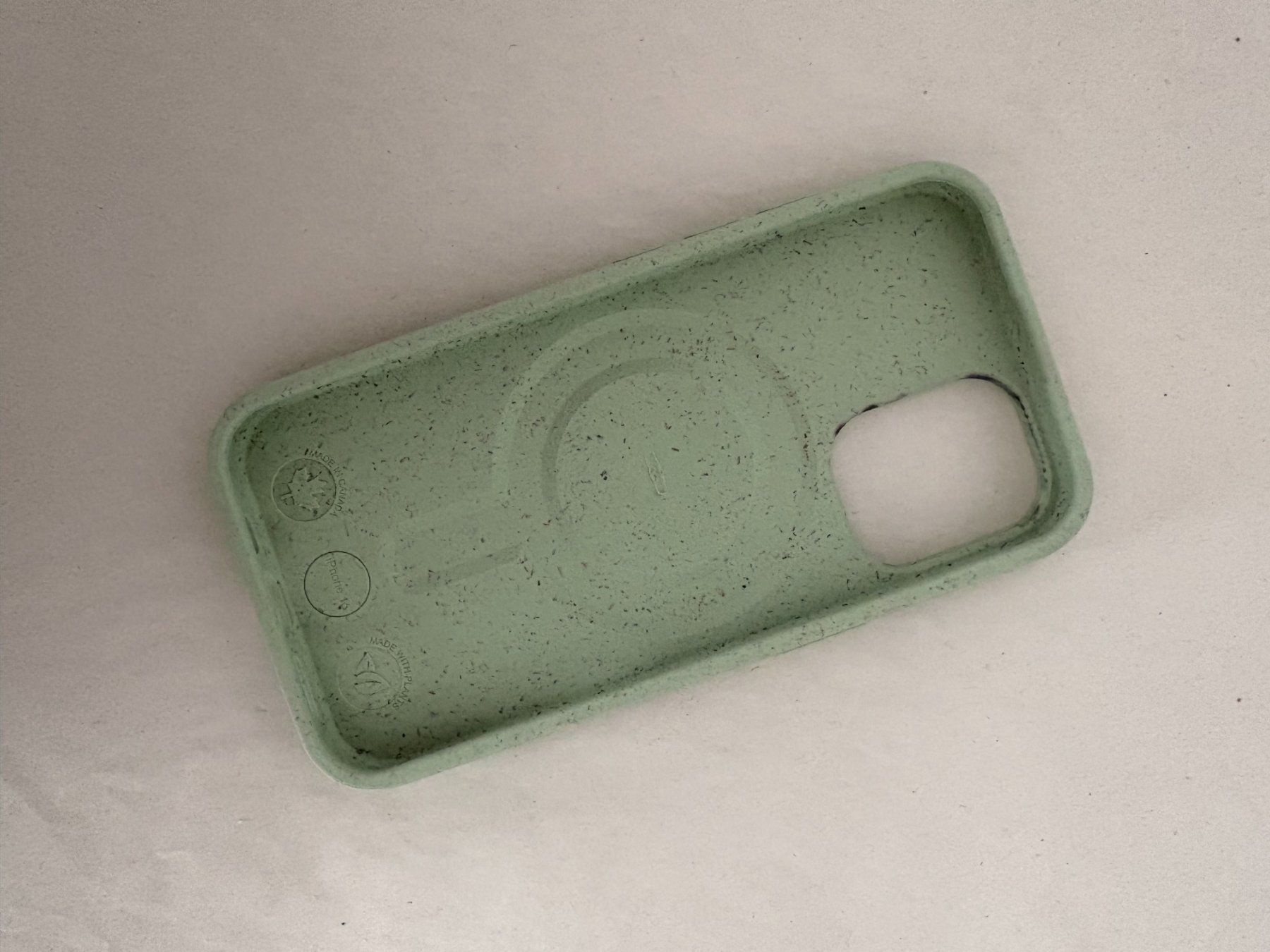 Cover & Protezioni schermo: Pela case Sage Green Lushy Leaves iPhone 16 – Usato da Bellinzona venduto da dan_m8pc 1