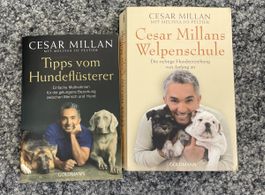 Cesar Millan Hunde-Ratgeber: 2 Bücher für Hunde-Erziehung