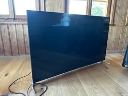 GRUNDIG 50 VLX 7860 Fernseher Chassis YL guter Zustand