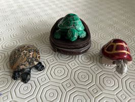 Collezione di statuine tartarughe