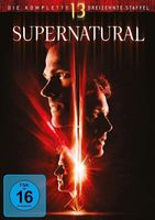 Supernatural - Komplette Staffel 13 (DVD)