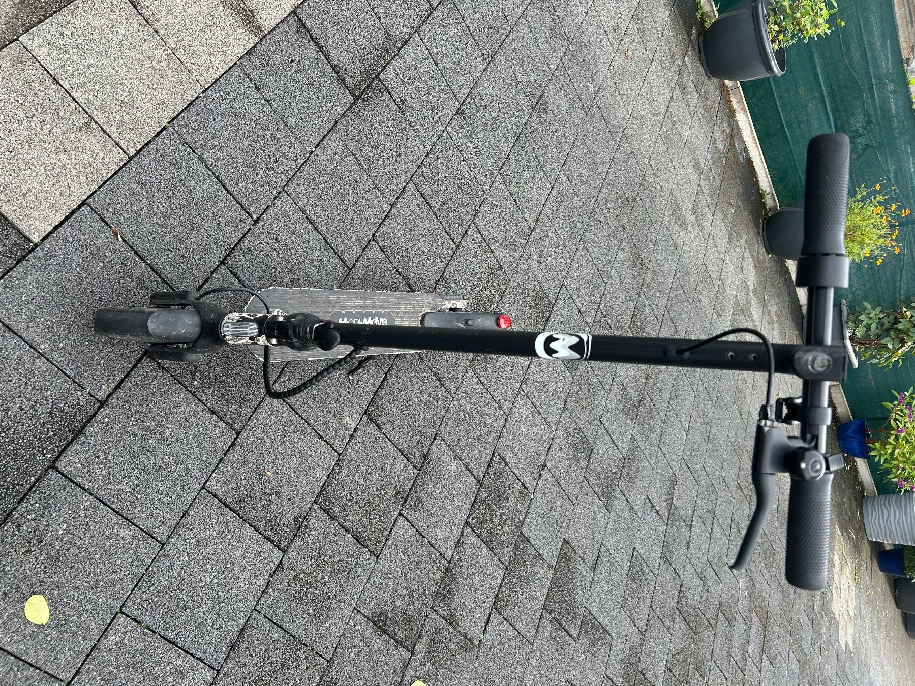 Scooters: Scooter – Gebraucht aus lengnau BE von ari50 2