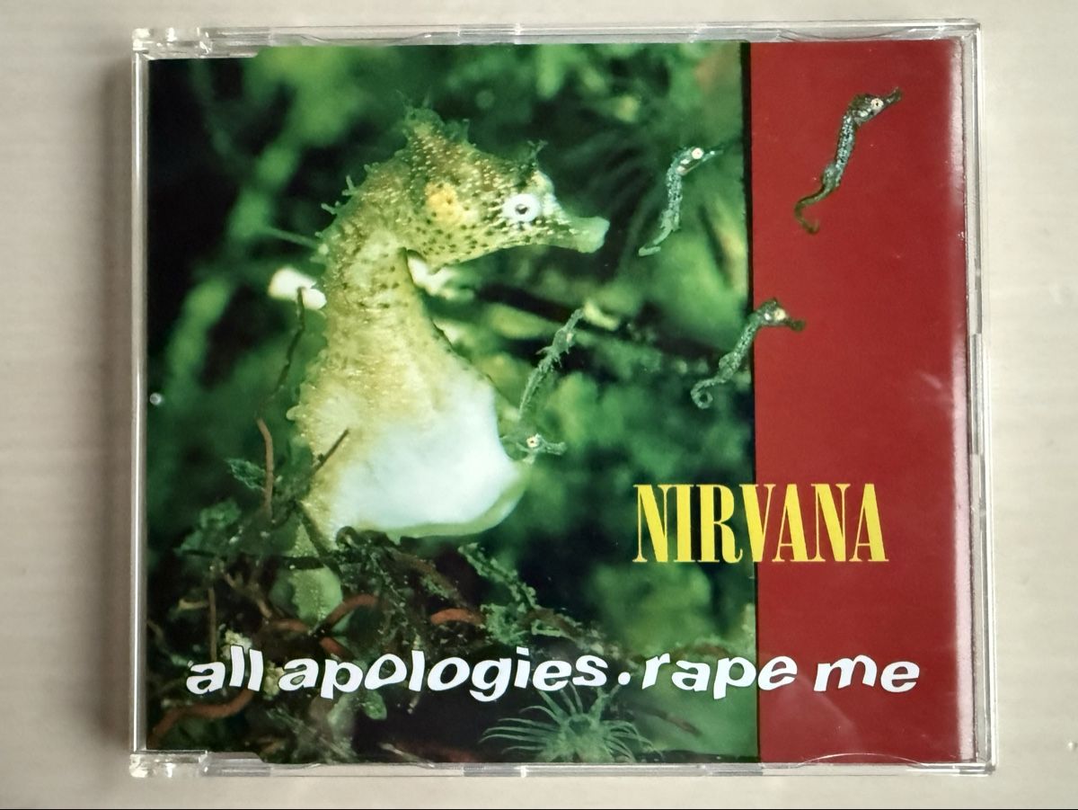 CD: Nirvana Singles Box Set CD 6 Singles  – Usato da Oberried Brienz venduto da Chyara 4