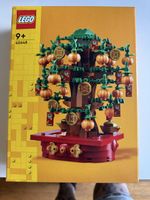LEGO Set 40648 Geldbaum neu in versiegelter Verpackung