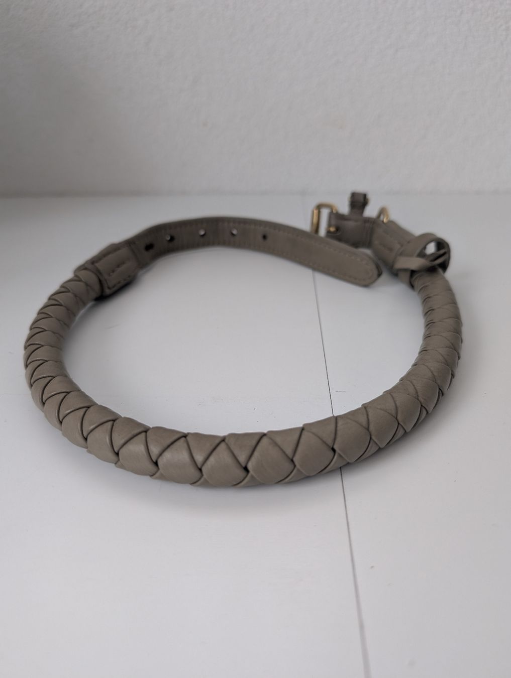 Guinzagli & Collari: Collier et laisse pour chien William Walker – Nuovo e nell'imballaggio originale da Sierre venduto da Dorianex6 7