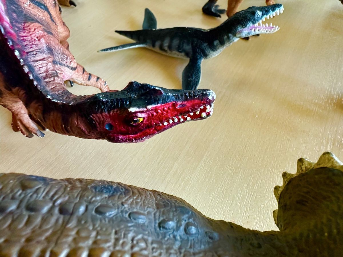 Livres: 14 Dinosaurier – D'occasion à zollikon par mme_kwf2 6