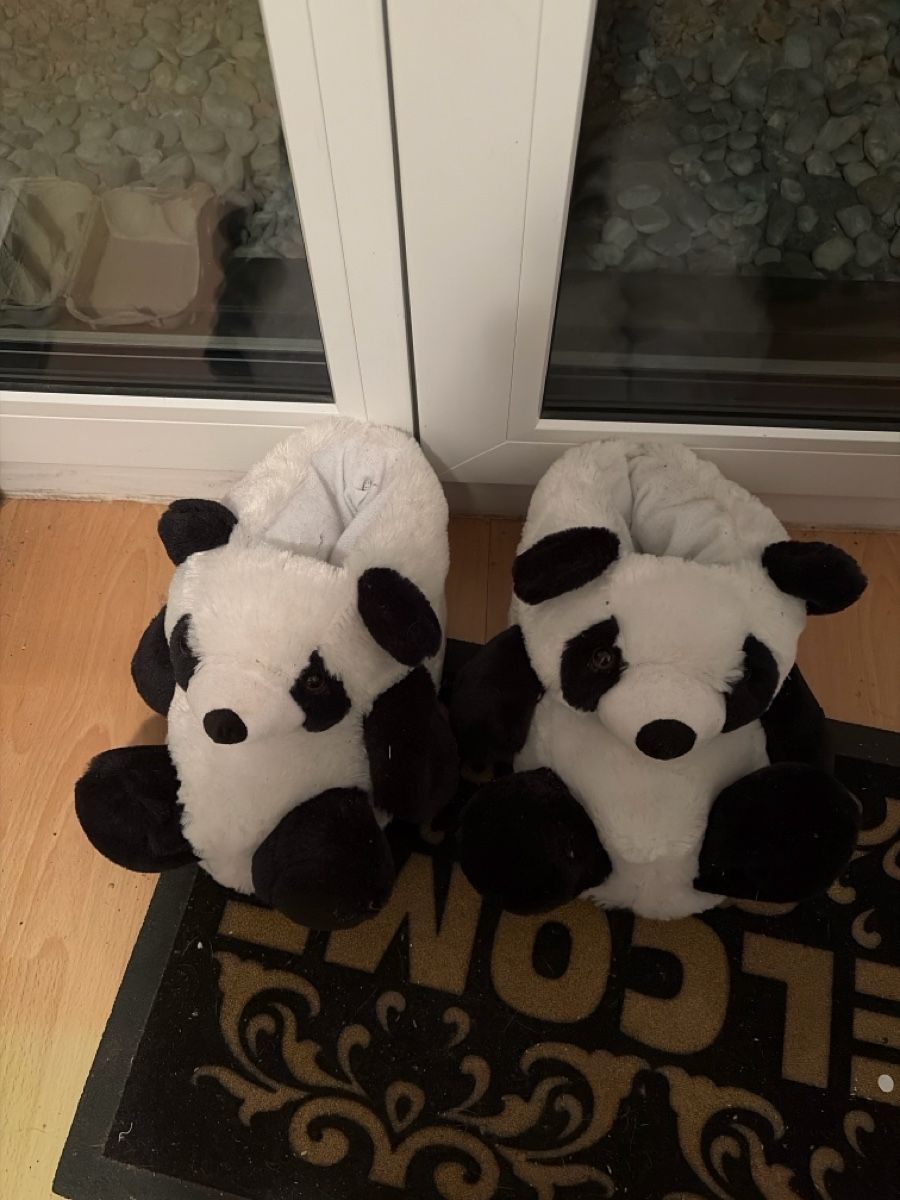 Herrenschuhe: Panda Pantoffeln Grösse 42 gebraucht  – Gebraucht aus Opfershofen TG von dan_nxk8
