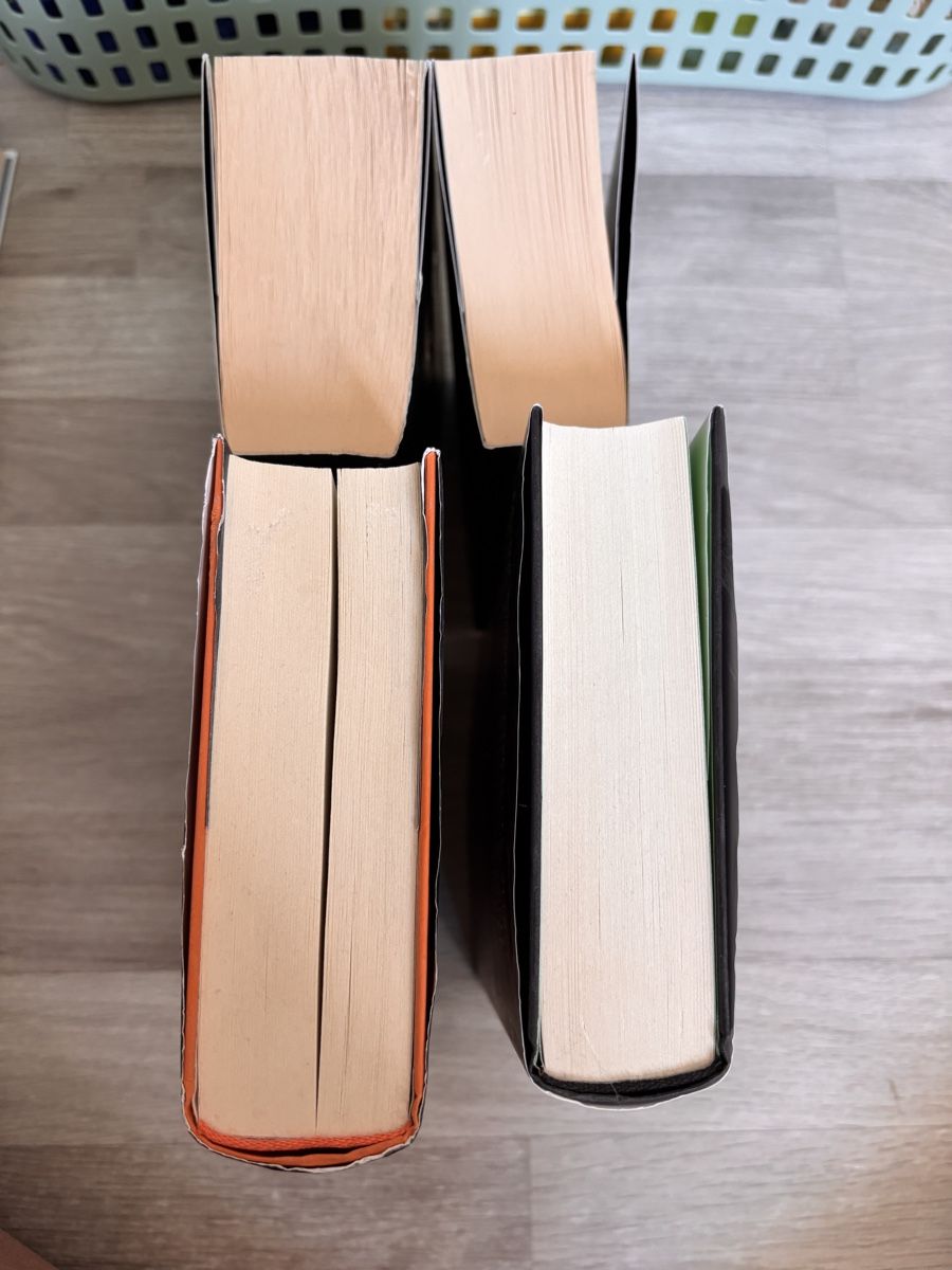 Livres: Edward Snowden Permanent Record, M. Elsberg Zero, Blackout – D'occasion à Erlinsbach SO par flick20 2