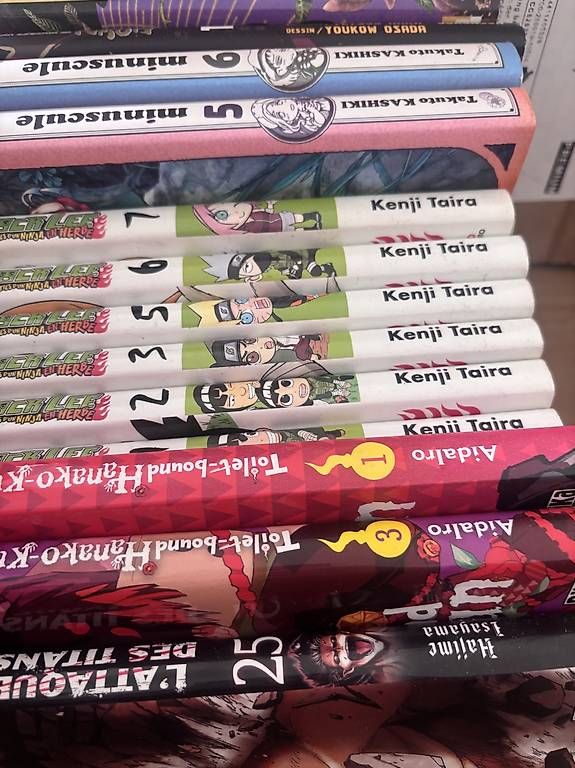 Fumetti: Manga en vrac  – Usato da Châtelaine venduto da Amb-Bre 1
