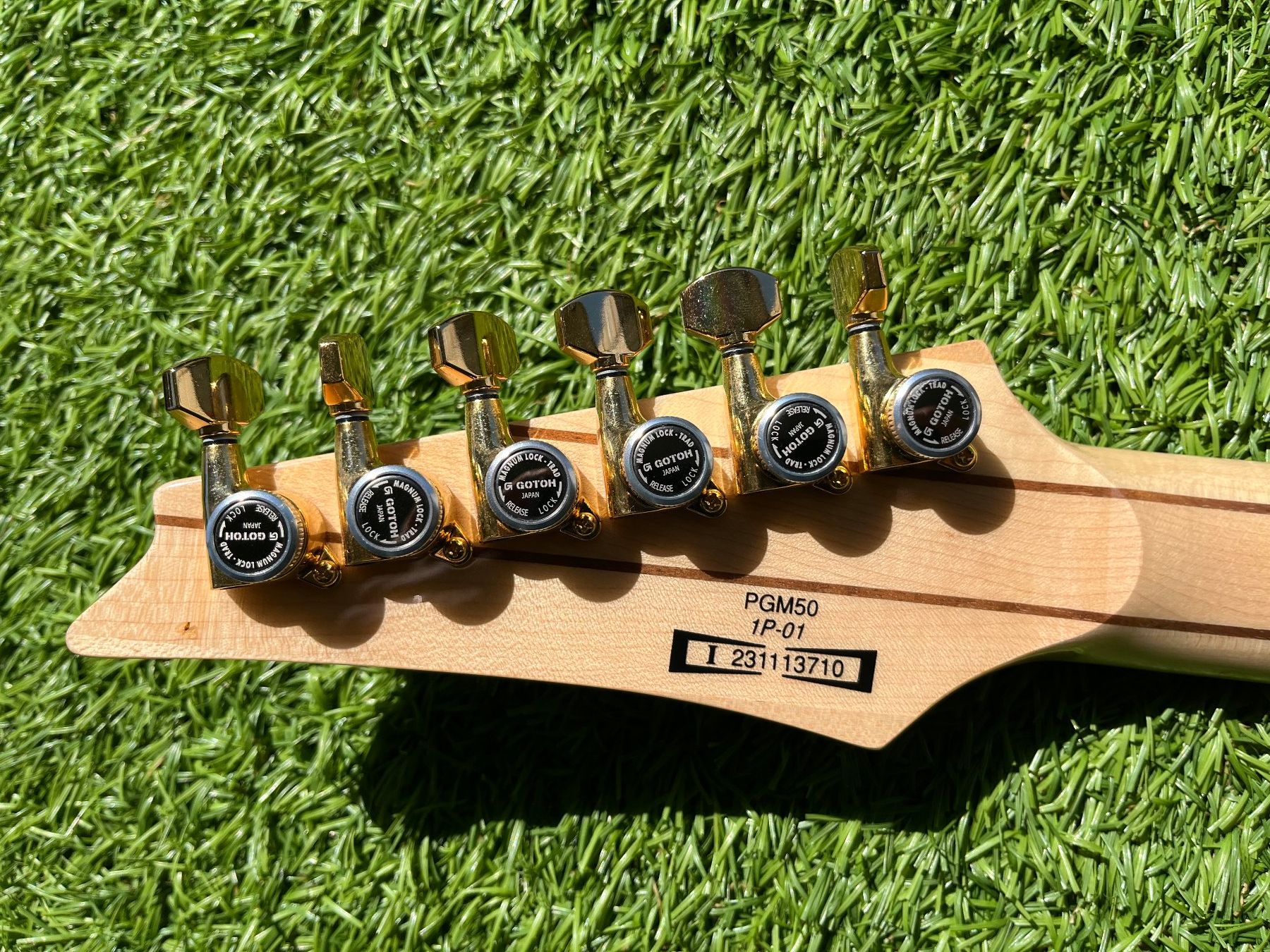 Ibanez Strumenti musicali: Ibanez PGM50 – Usato da Windisch venduto da Daredevil7 4