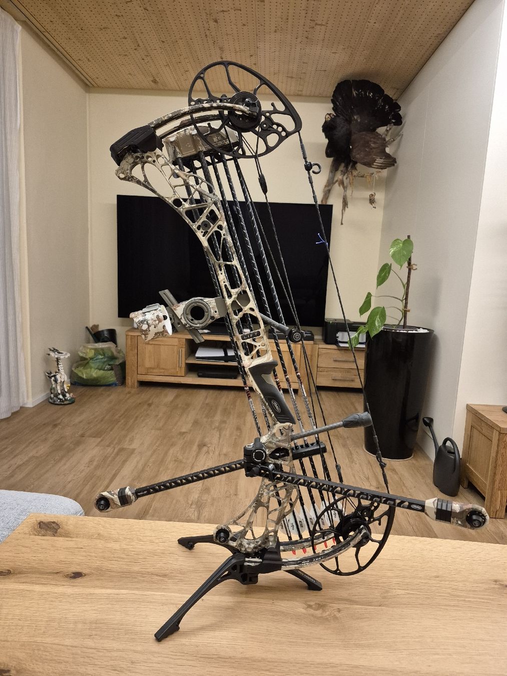 Tiro con l'arco: MATHEWS- LIFT RS – Nuovo (secondo la descrizione) da Flums venduto da TheNorthMan