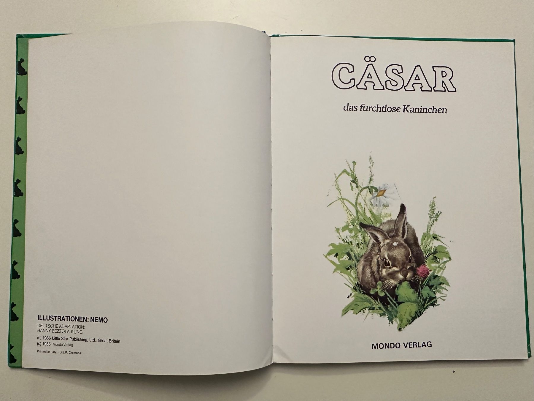 Bücher: CÄSAR das furchtlose Kaninchen  - Hardcover – Gebraucht aus Münsingen von Ganjam 3