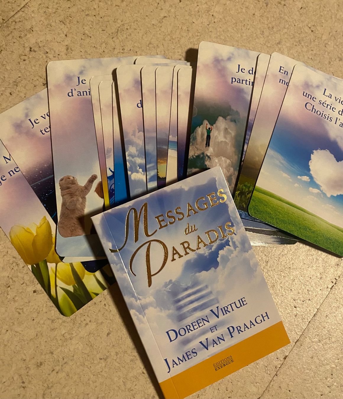 Libri: Messages du Paradis – Usato da Tafers venduto da Hinaya 2