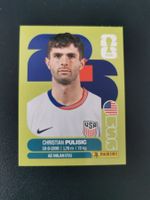 Panini FIFA World Cup Sticker USA 16