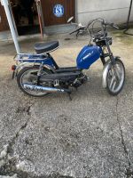 Pony GTX direkt ab Service