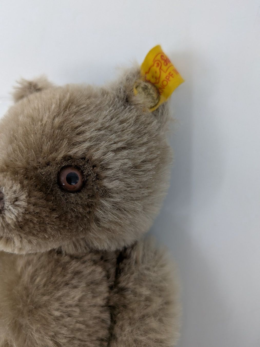Steiff Jouets: Kleiner Steiff Teddybär – D'occasion à Emmen par magelan 1