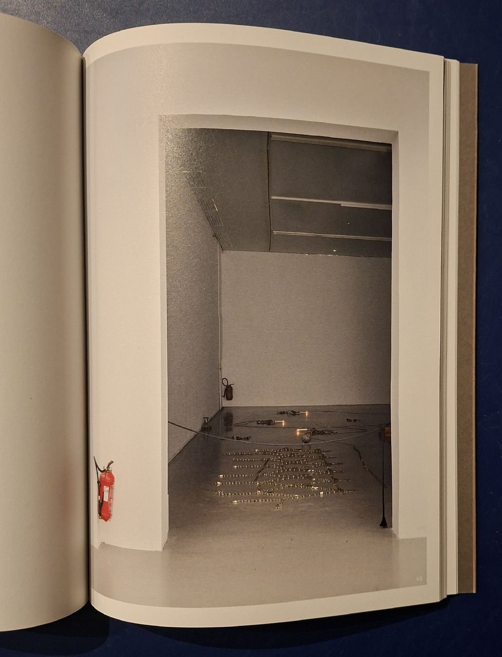 Libri: Danh Vo Gomomnimada Buch neu Zustand – Nuovo (secondo la descrizione) da Niederglatt ZH venduto da Siegfried67 4