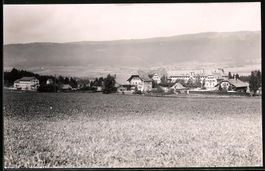 Fotografie Preles, Partie am Ortsrand, u
