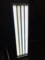 Standard T5 Pflanzenlampe (Grow Light Fixture) mit 4 Röhren.